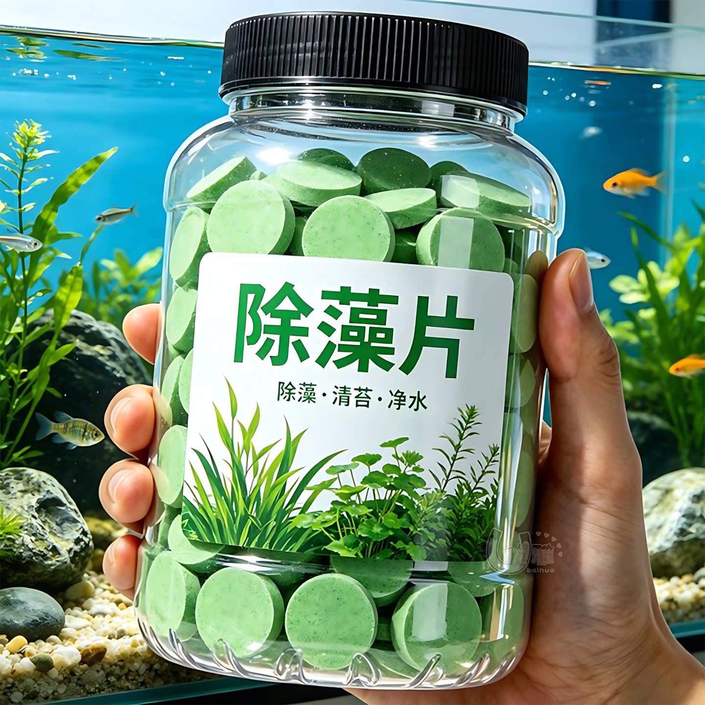 鱼缸除藻片草缸去绿苔净化水质