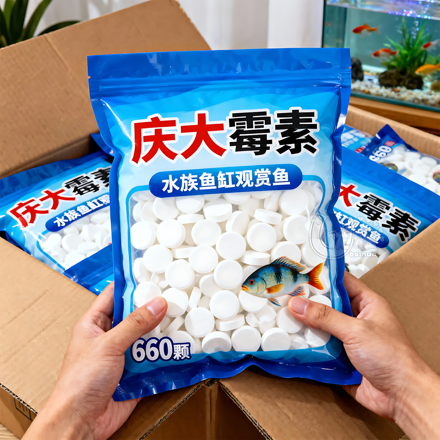 庆大霉素泡腾片水族鱼缸专用改善趴缸温和护鱼恢复活力水质稳定剂