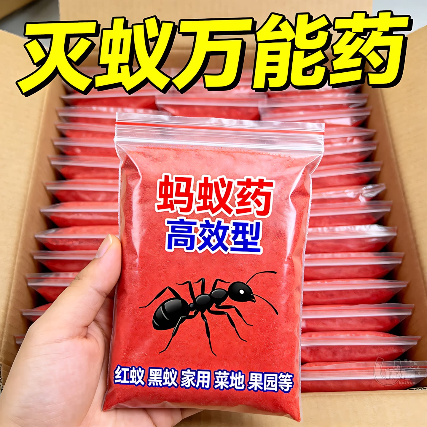 家用蚂蚁药连环根除红黄黑蚁隐患
