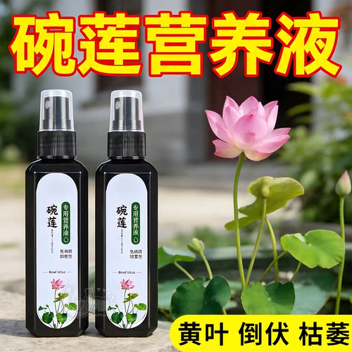 碗莲营养液促花长叶水培长势旺盛