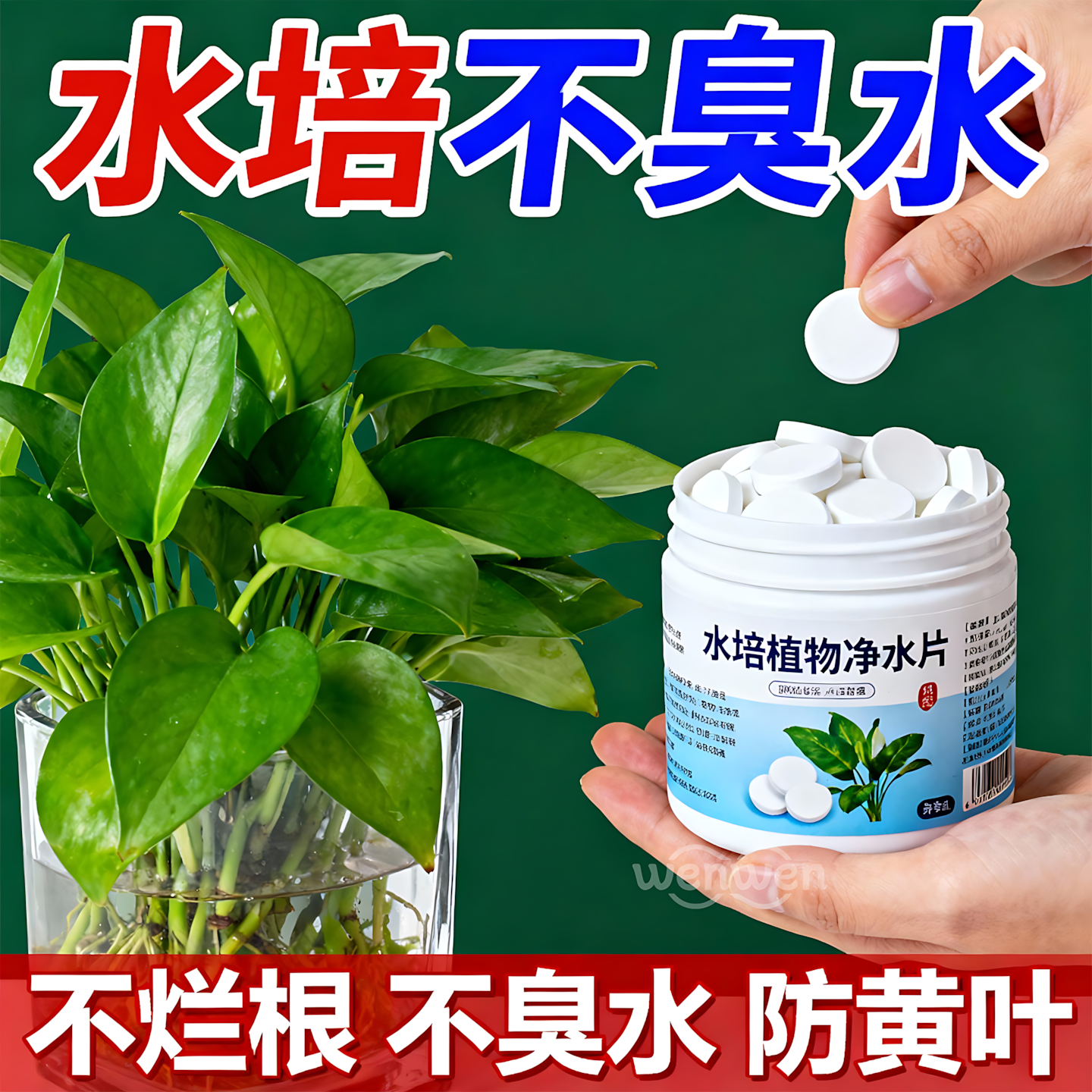 懒人净水片！生态净化护根稳水