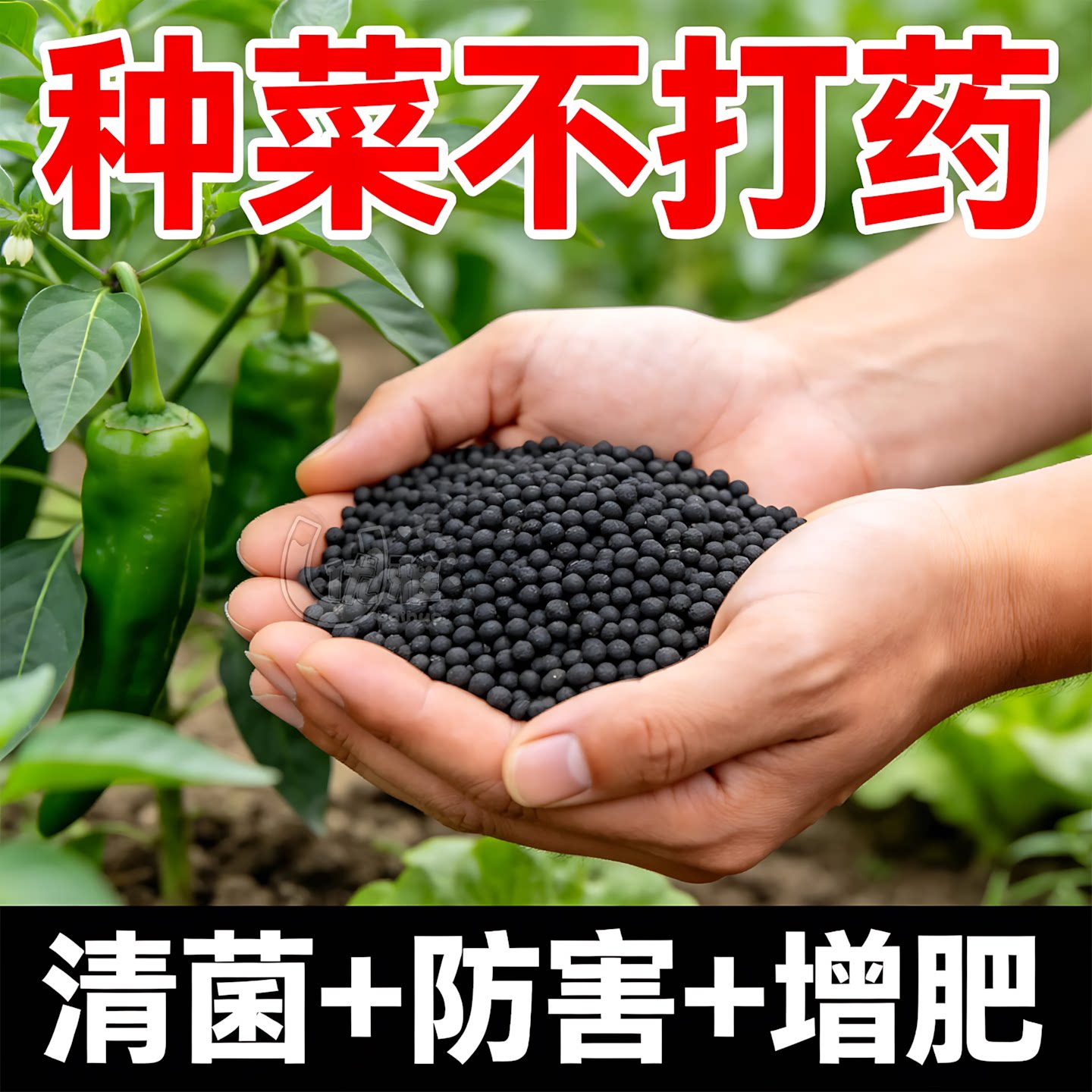 撒施清菌颗粒土壤盆土预防烂根