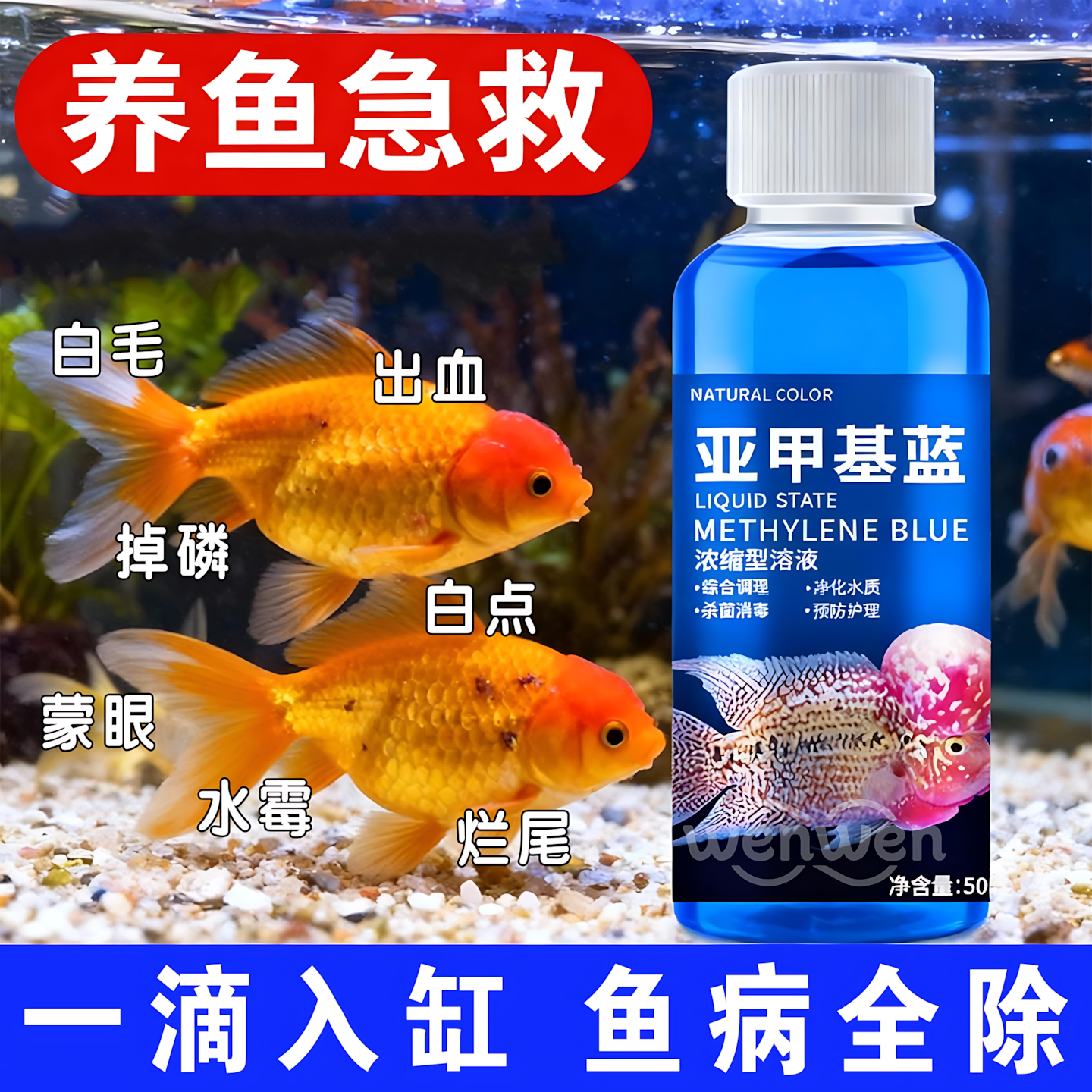 亚甲基蓝治水霉蒙眼烂身+预防