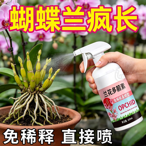 长效兰花多箭素生根促箭养兰专用