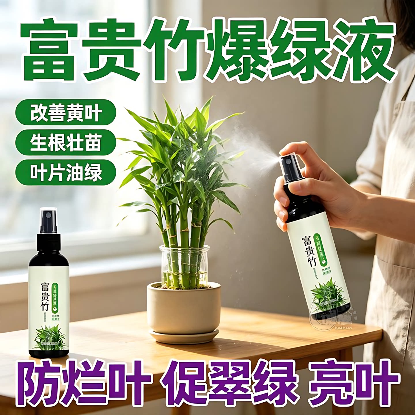 富贵竹营养液长效滋养叶片翠绿
