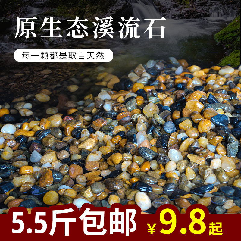 鱼缸底砂溪流石头子专用装饰铺底水族箱造景天然河沙原生南美缸沙,宠物/宠物食品及用品,造景/装饰,淘宝优惠券,粉丝福利购,淘宝优惠卷