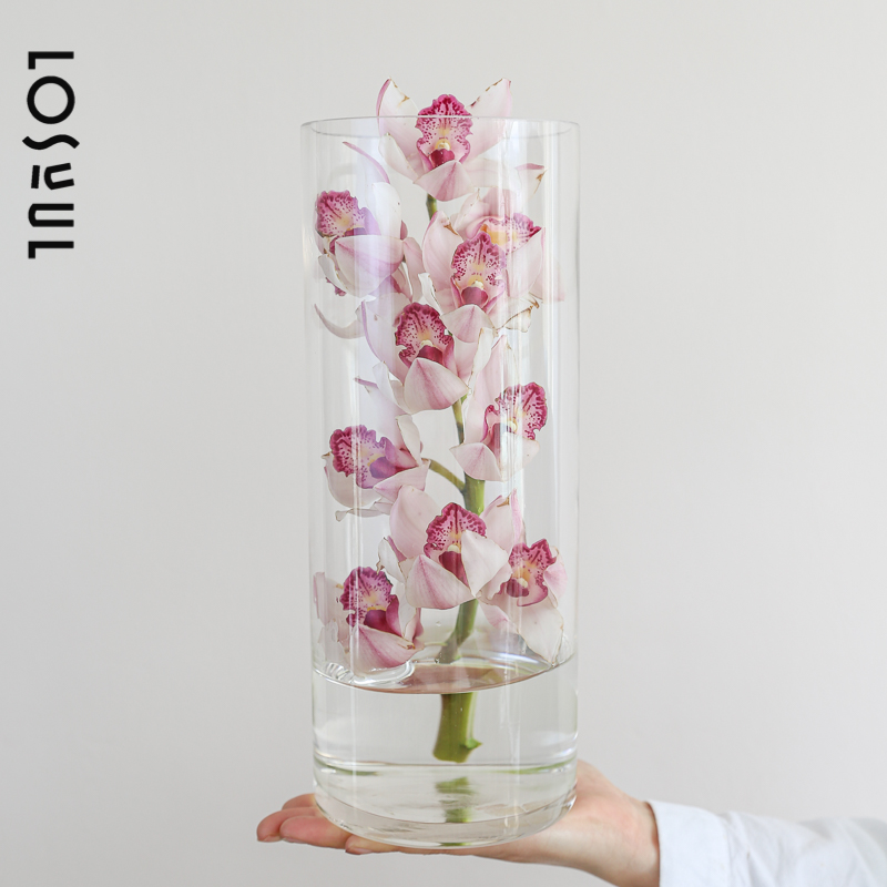 大花蕙兰鲜花商业家庭氛围感花