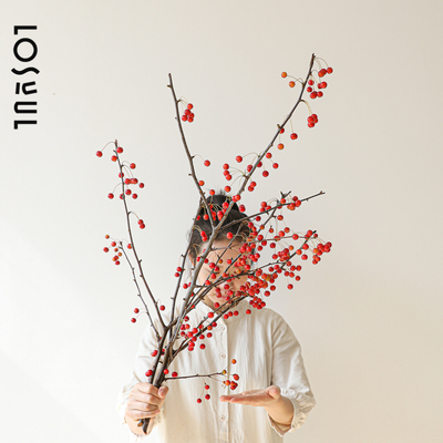 海棠果鲜花秋色观果小众花材