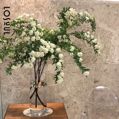 小手球鲜花室内水培鲜切