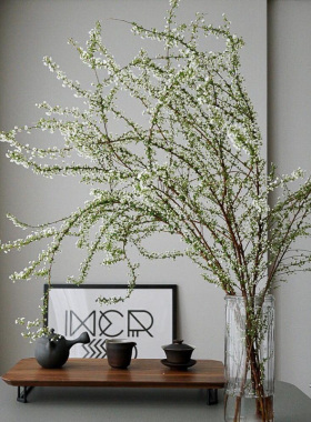 雪柳鲜枝带花苞室内高级真花小手球水培鲜切花餐桌花摆花客厅装饰