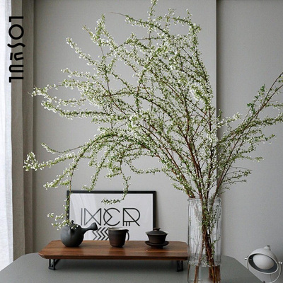 雪柳鲜枝小众淡雅侘寂风花期长