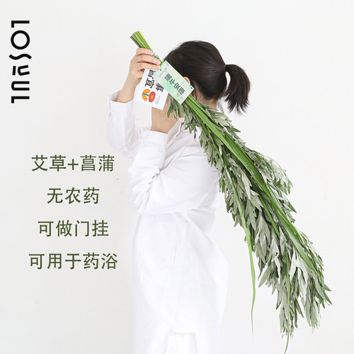 圣诞花束鲜切水培植物ins风