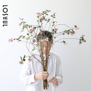 栗粉雪果鲜切花粉豆野奢鲜花雪豆ins小众高级感商业空间室内插花