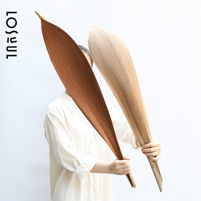 巴西进口超大号可可叶干花侘寂风