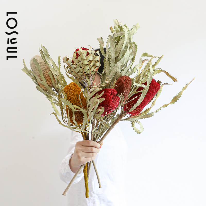 斑克木澳洲进口 佛塔树干花公主ins摆件真花家居干花 顺丰