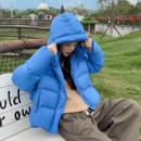 90白鸭绒高充绒量外套 巨好看布鲁斯蓝色羽绒服女短款 2025冬季 新款