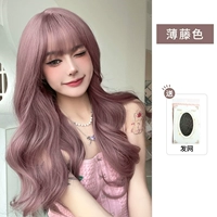 Bo Teng Color, отправляя сеть