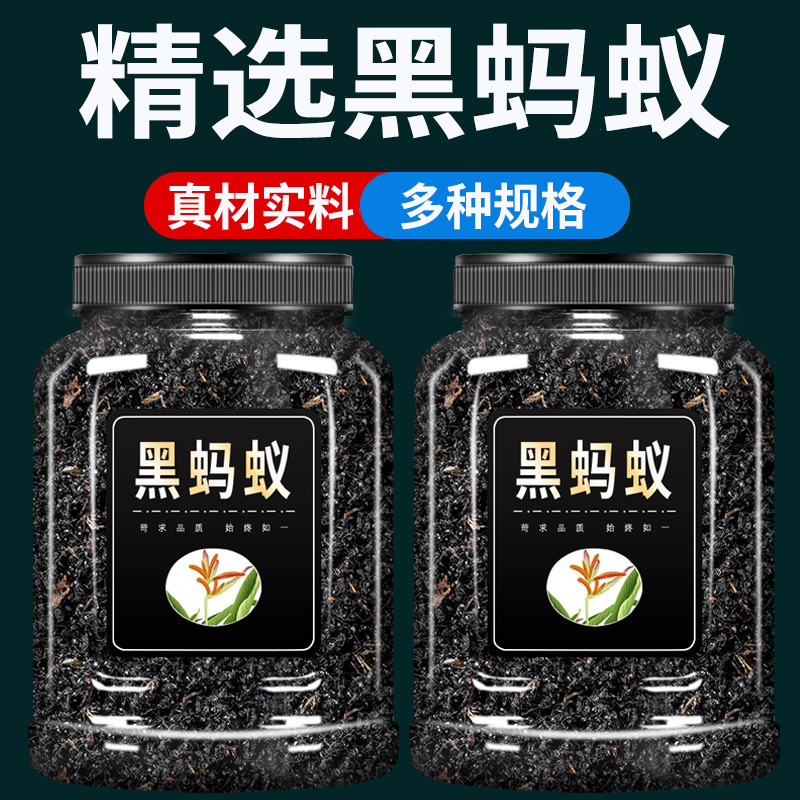 黑蚂蚁中药材500g克官方旗舰店长白山特级野生大黑蚂蚁粉干泡酒料