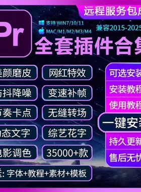 Pr插件合集全套2025软件安装包磨皮转场特效调色预设中文WIN/MAC