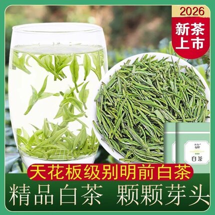 2026新茶明前白茶原产地茶叶散装精品珍稀玉蕊高山安吉绿茶250克