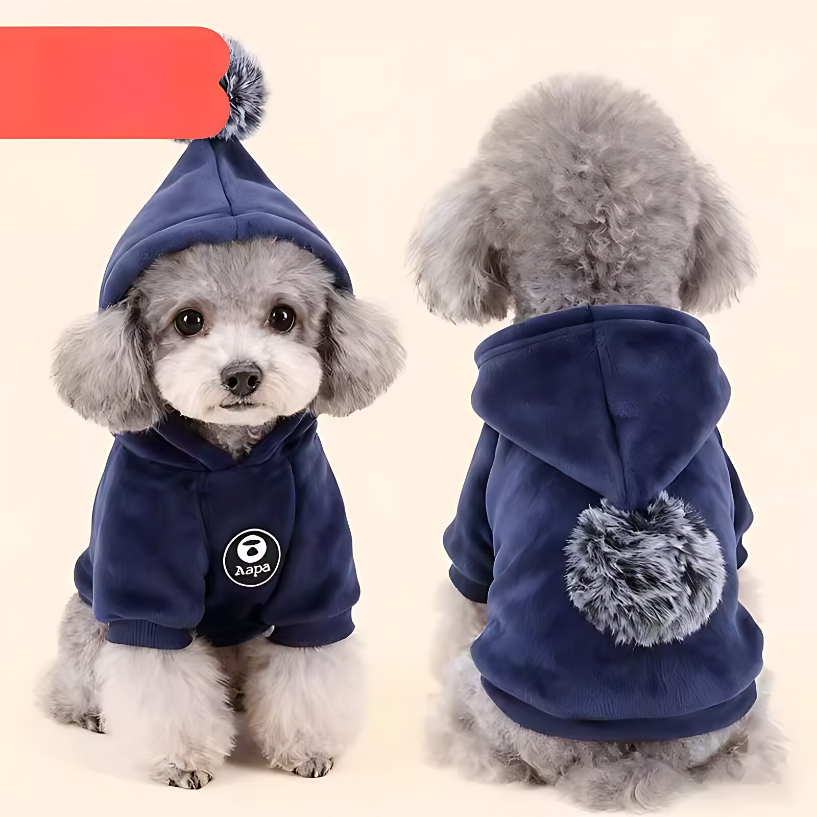 小狗狗猫咪衣服冬装新款比熊泰迪小型犬西高地柯基雪纳瑞宠物衣服