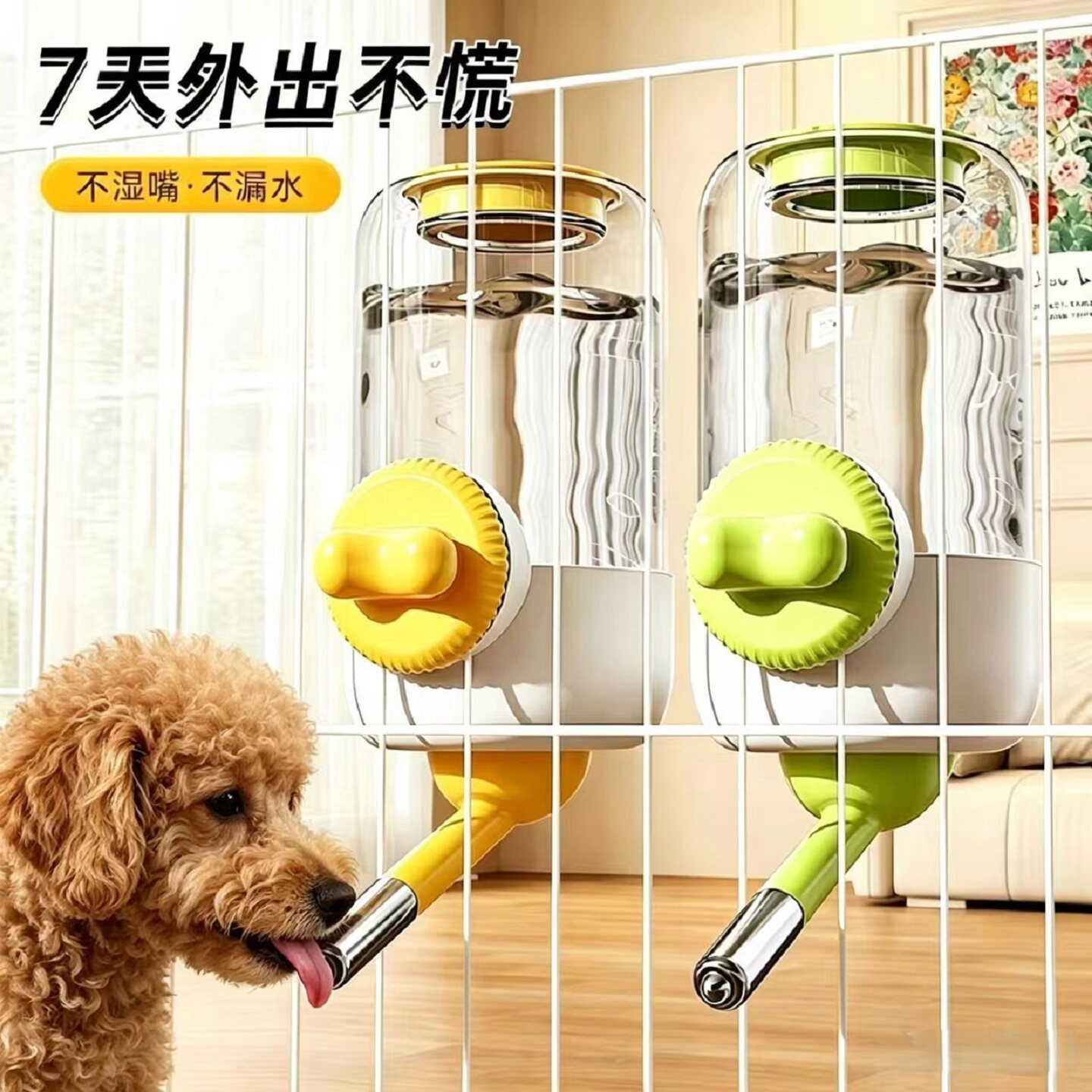 宠物狗狗猫咪挂式自动饮水器免提