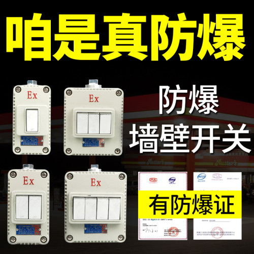 防爆开关户外室内插座电源工业