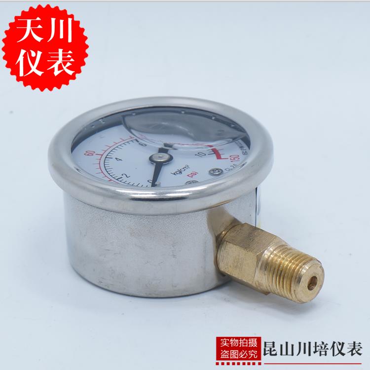 上海天川仪表厂耐震压力