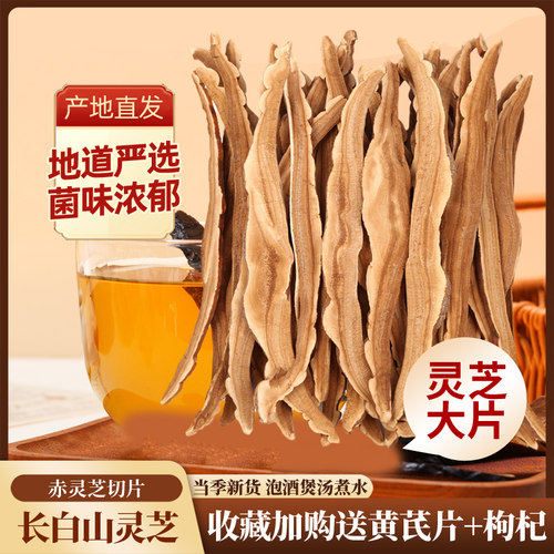 长白山野生赤灵芝片500g泡酒