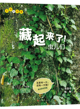 生命的故事番外：藏起来了（虫儿们、鱼儿们）套装共2册 3-6岁儿童科普绘本昆虫动物百科全书(中国环境标志 绿色印刷)DB