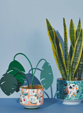 FQRLOVING英国Maggie Stephenson艺术家手工制作绘画植物花卉花盆