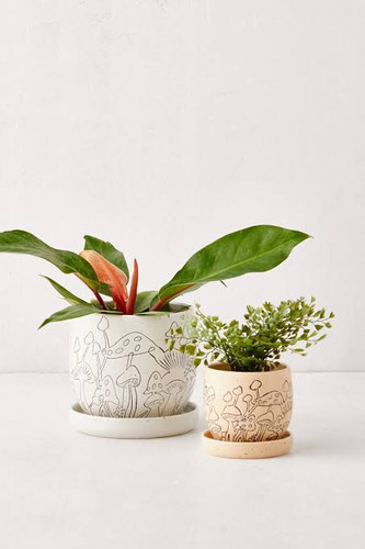 FQR LIVING美国URBAN OUTFITTERS手工制作绘画陶器蘑菇图案花盆