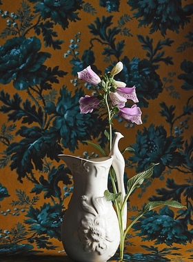 美国 著名设计House of Hackney手工制作孔雀开屏把柄水壶 花瓶