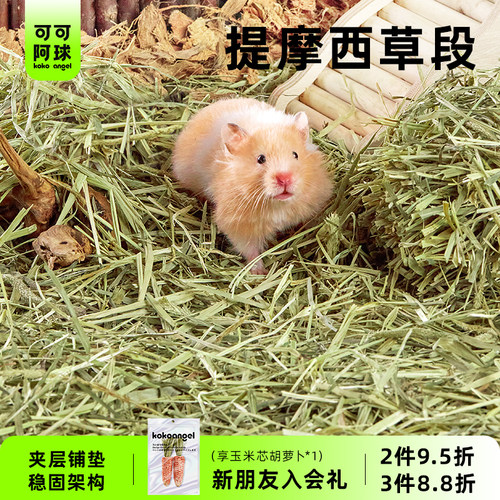 小仓鼠除臭无尘打洞造景用品