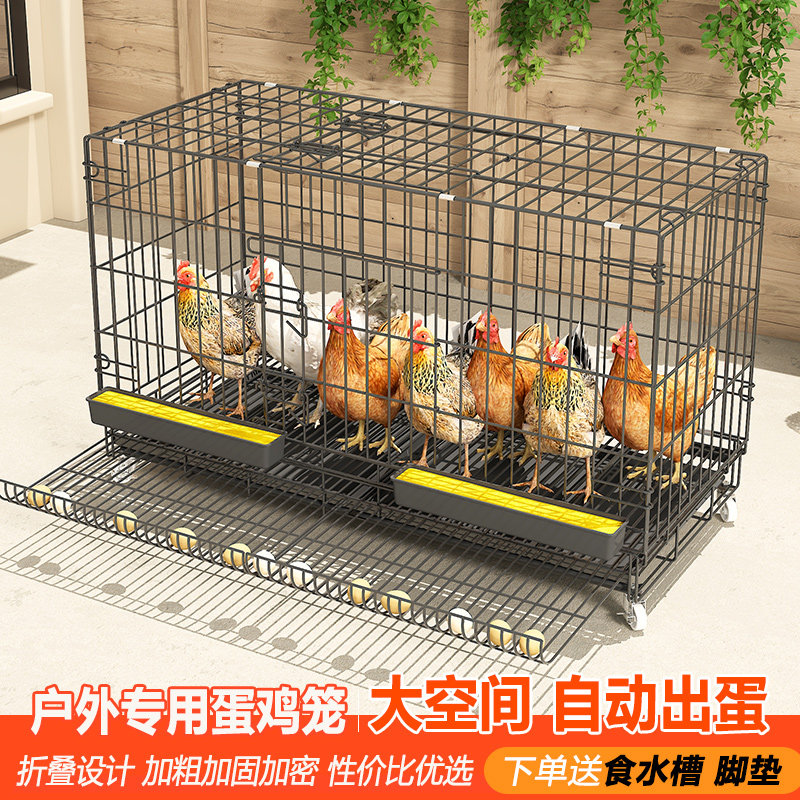 鸡笼子蛋托家用室外大号铁丝网芦丁鸡鸽子自动清粪防黄鼠狼养殖笼