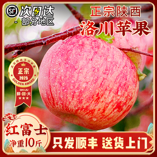 正宗陕西洛川苹果10水果新鲜应当季整箱斤红富士冰糖心脆甜旗舰店
