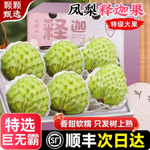 凤梨牛奶释迦果新鲜现摘顺丰特大水果礼盒摩牟尼番荔枝官方旗舰店