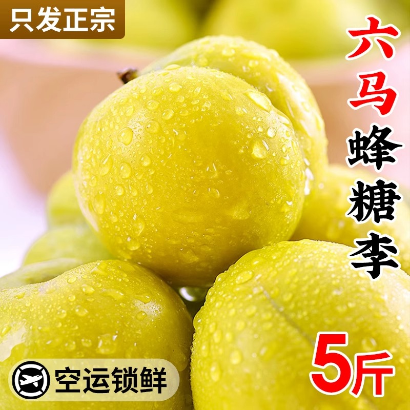 正宗贵州六马蜂糖李新鲜蜂蜜李子