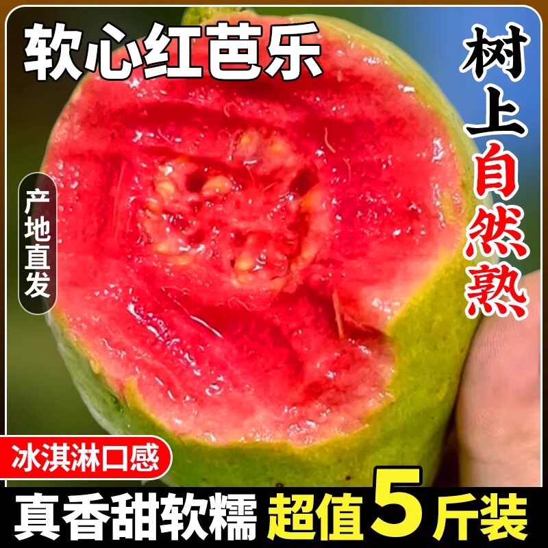 广西软糯红心芭乐新鲜水果番石榴脆甜夏日软心糯胭脂红巴乐整箱