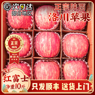 正宗陕西洛川苹果水果新鲜当季 整箱红富士冰糖心一级脆甜10顺丰