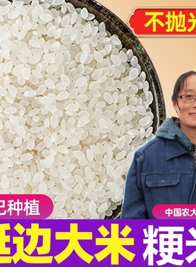 粳米延边大米正宗晚稻梗米2025新米东北珍珠圆粒小包煮粥米阿八伊
