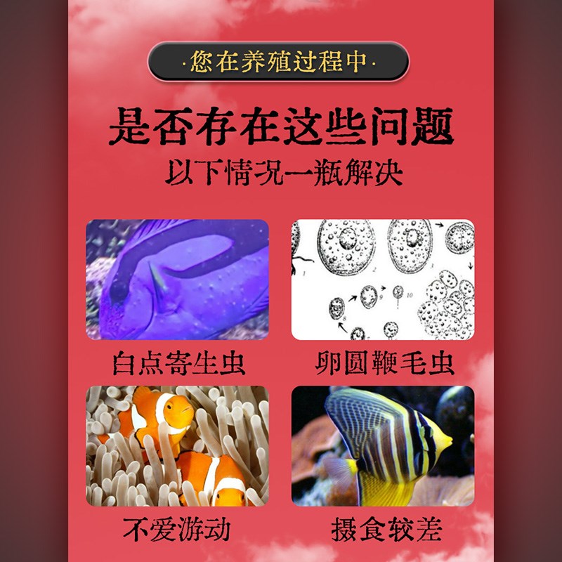 现货铁鱼剂鱼缸鱼池海水鱼白点病粉蓝免疫鱼药免疫珊瑚缸海化白点