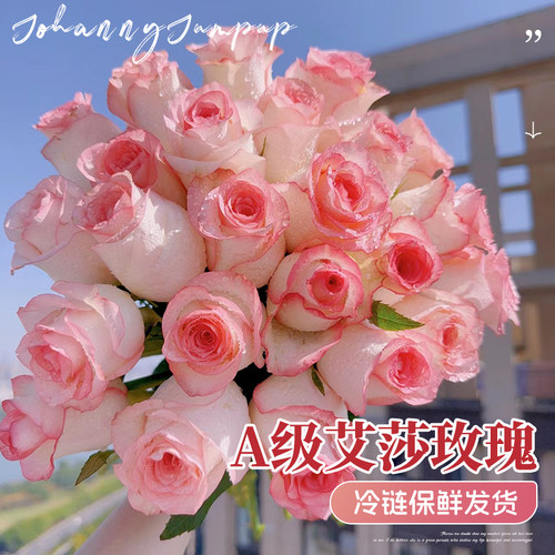 速发玫瑰毕月季花带苞花卉家用插花花材水培鲜切花业礼物花束
