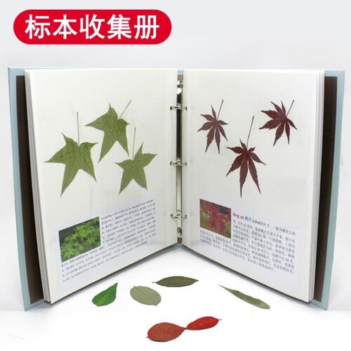 现货树叶标本册收集册自粘贴式覆膜干花压花材料植物DIY相册收藏