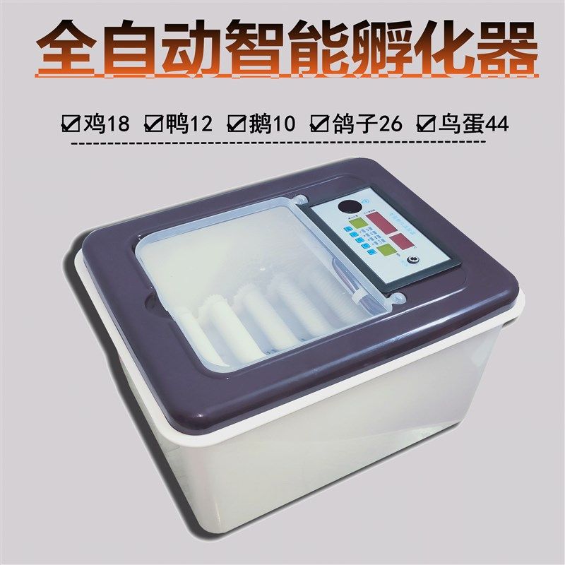新品孵化器小型家用全自动智能迷你水床孵化机小R鸡鸭鹅鹌鹑鸟蛋