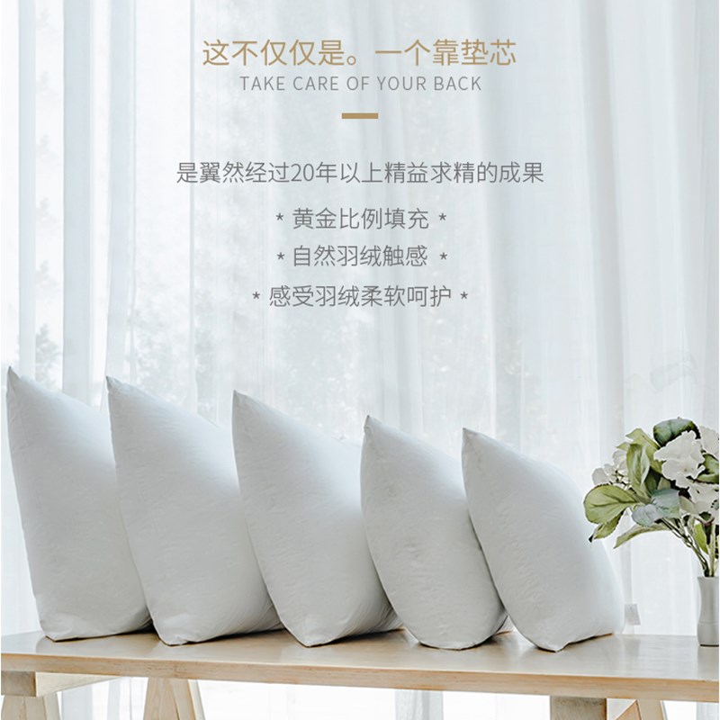 现货61K3白鹅毛羽绒抱枕芯酒店床E头靠枕芯靠垫芯沙发办公室内胆
