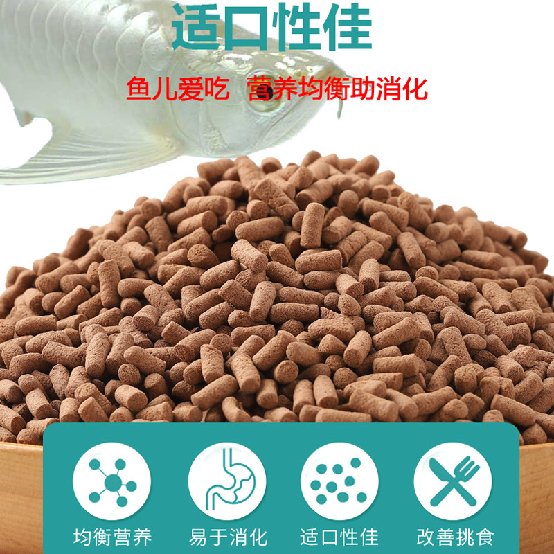 速发银龙鱼专料饲用鱼食红龙鱼金龙七彩银龙热带颗上浮鱼粒