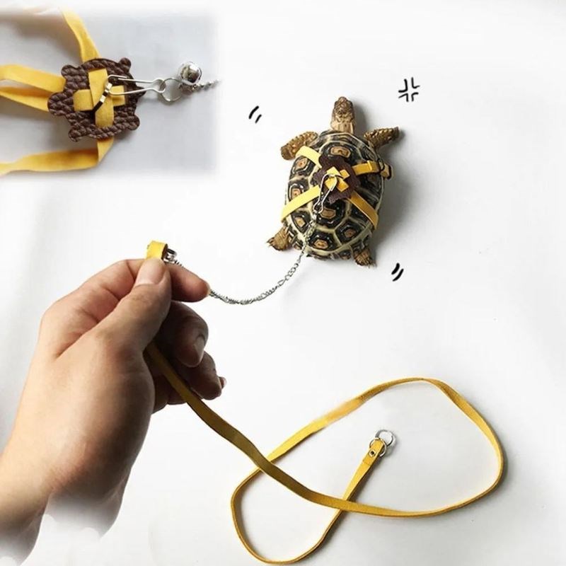 现货遛龟绳超小体乌龟牵引绳溜龟小宠皮质爬宠蜥蜴牵引绳溜龟训练
