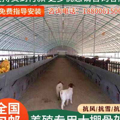 速发椭圆管养殖大棚全套养鸡鸭鹅专用大棚骨架搭建鸡舍猪舍大棚钢