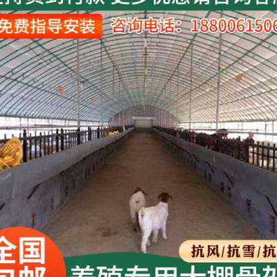 速发椭圆管养殖大棚全套养鸡鸭鹅专用大棚骨架搭建鸡舍猪舍大棚钢